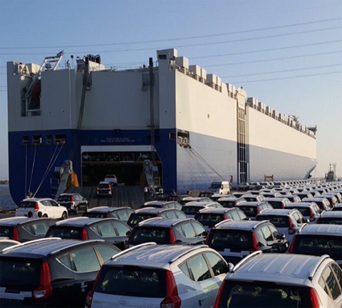 Zende Wang Shipping